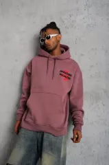 Erkek Şapkalı Güvercin Baskılı Kapşonlu Sweat - Gül Kurusu