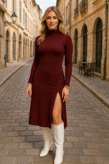 Kadın Uzun Kollu Balıkçı Yaka Derin Yırtmaç Detay Krep Elbise