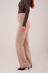 Ön Dikiş Detaylı Tek Düğme Taş Pantolon